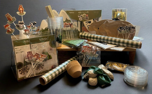 Party Supplies for 16 - Adventure-Themed Party Kit