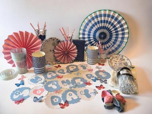 Blue Mother's Day Party Box for 16 Guests